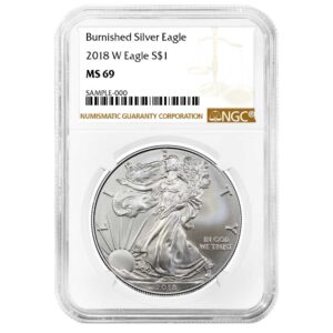 2018-W $1 1-oz Burnished American Silver Eagle NGC MS69 Brown Label