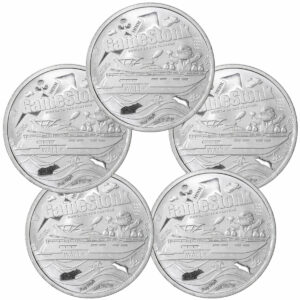Lot of 5 - Private Mint 1 oz Silver Round Wallstreetbets & Gamestonk GEM BU