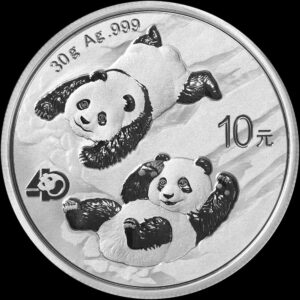 2022 China 30 g Silver Panda ¥10 Coin GEM BU