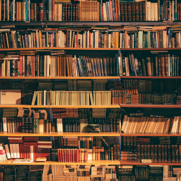 Shelves full of books new and old