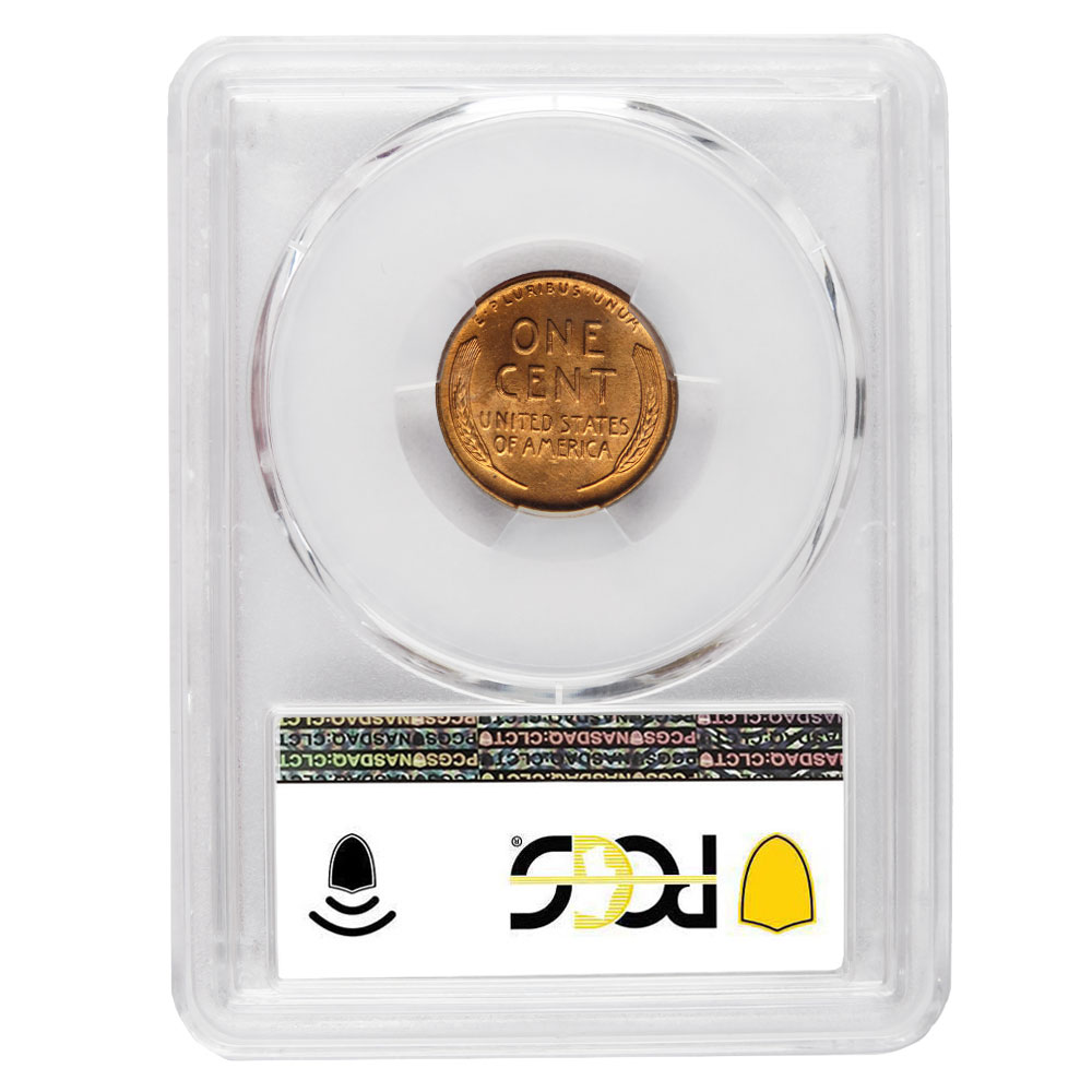 The reverse side of a 1951 penny from ModernCoinMart